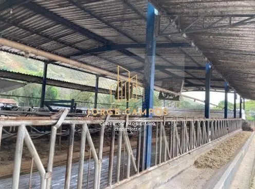Fazenda à venda de 78 ha em Silveiras, SP, Brasil