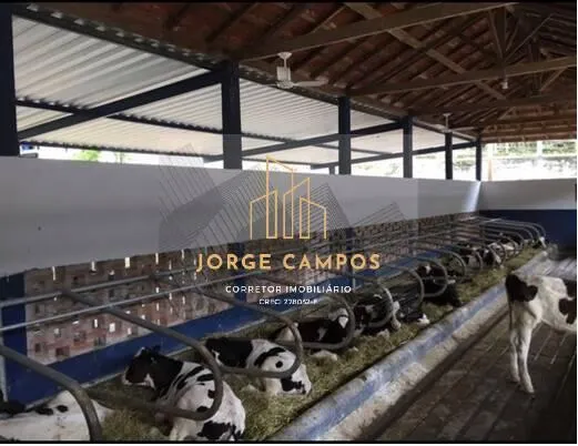 Fazenda à venda de 78 ha em Silveiras, SP, Brasil