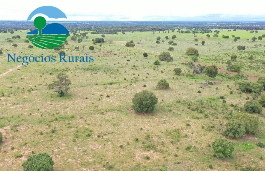 Fazenda à venda de 847 ha em Novo Planalto, GO, Brasil