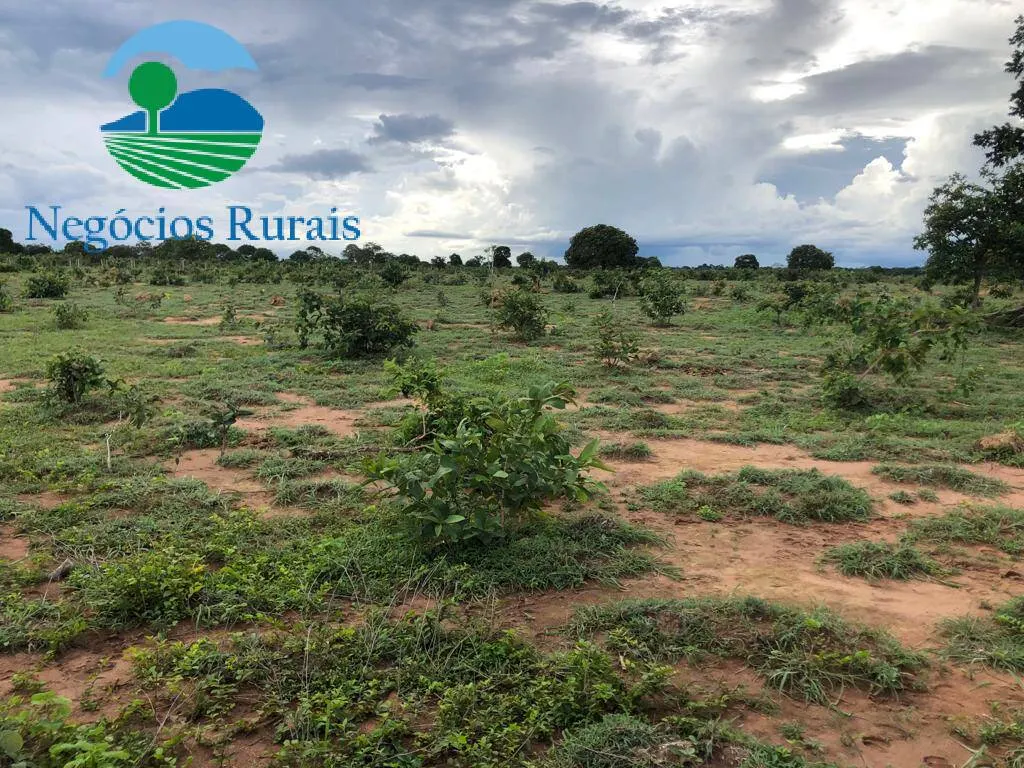 Fazenda à venda de 847 ha em Novo Planalto, GO, Brasil