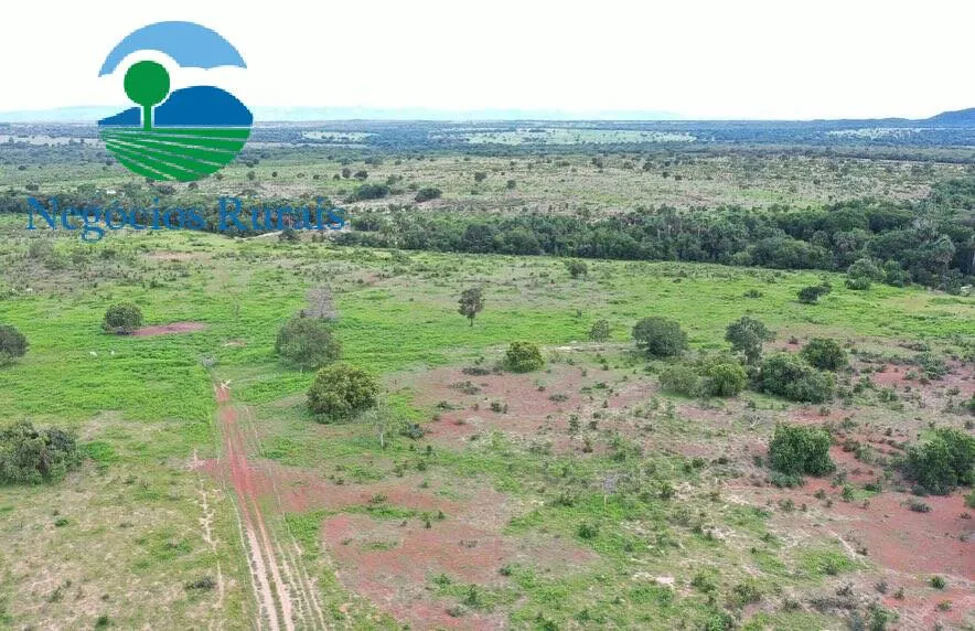 Fazenda à venda de 847 ha em Novo Planalto, GO, Brasil