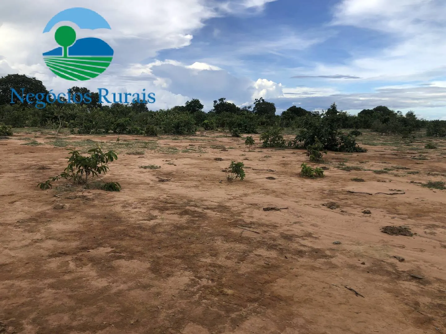 Fazenda à venda de 847 ha em Novo Planalto, GO, Brasil