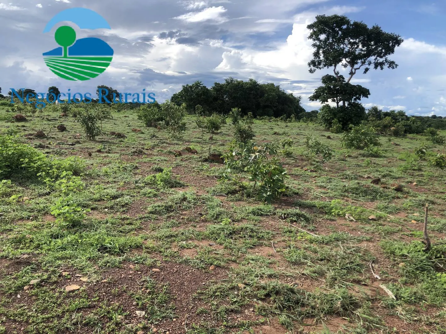 Fazenda à venda de 847 ha em Novo Planalto, GO, Brasil