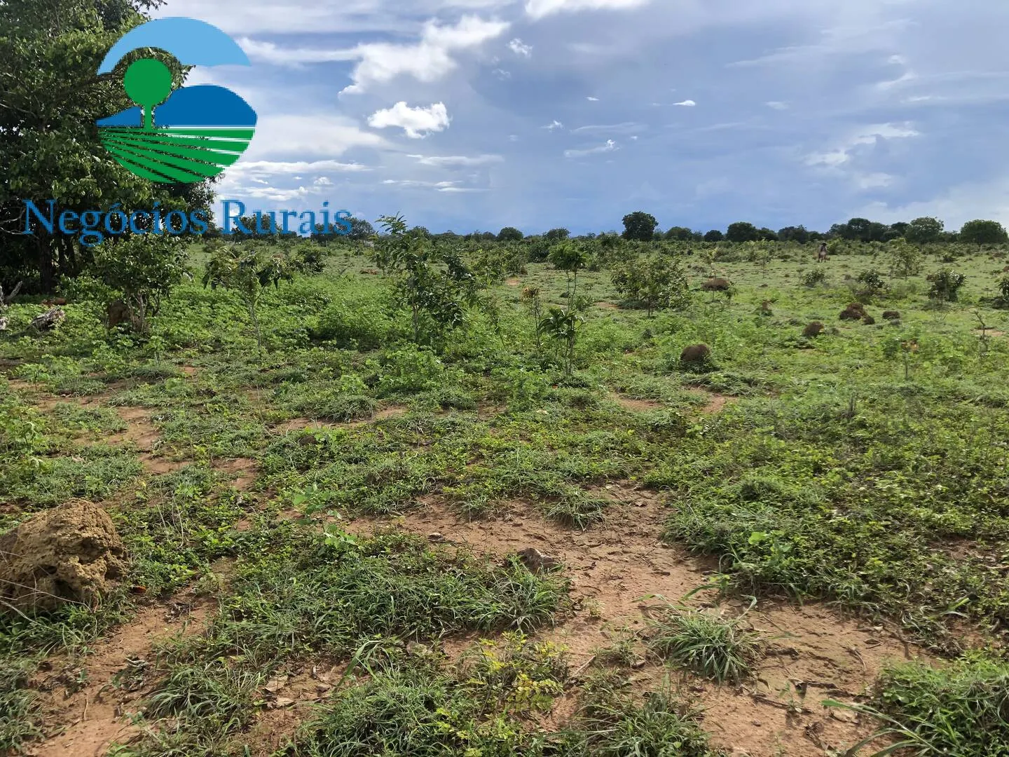 Fazenda à venda de 847 ha em Novo Planalto, GO, Brasil