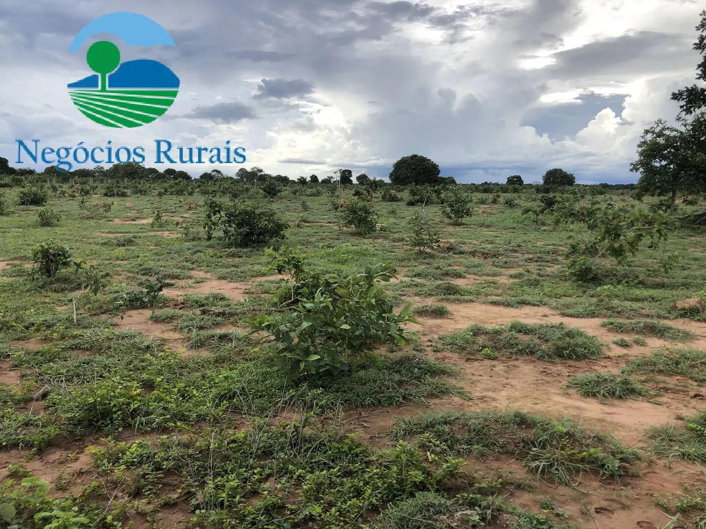 Fazenda à venda de 847 ha em Novo Planalto, GO, Brasil