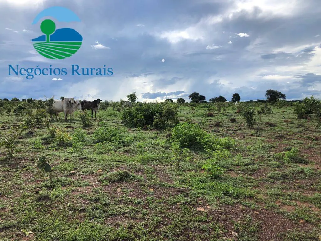 Fazenda à venda de 847 ha em Novo Planalto, GO, Brasil