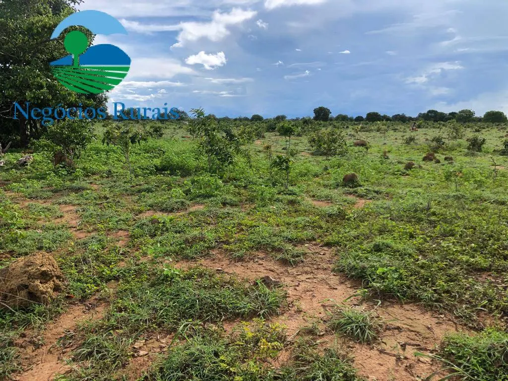Fazenda à venda de 847 ha em Novo Planalto, GO, Brasil
