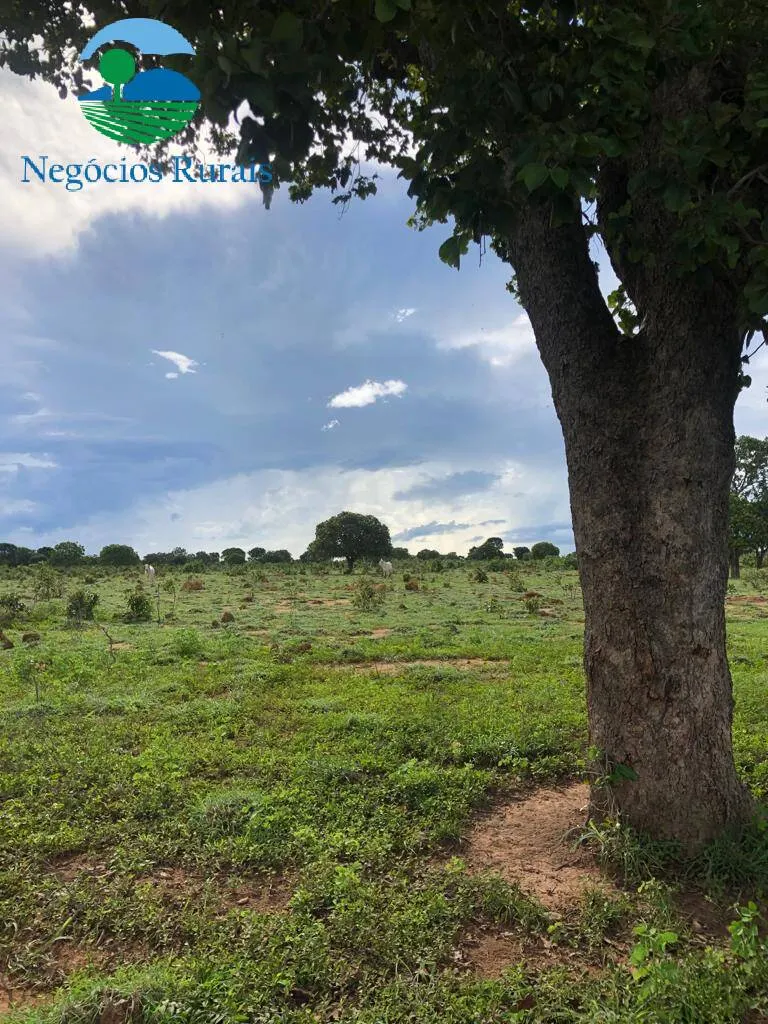 Fazenda à venda de 847 ha em Novo Planalto, GO, Brasil
