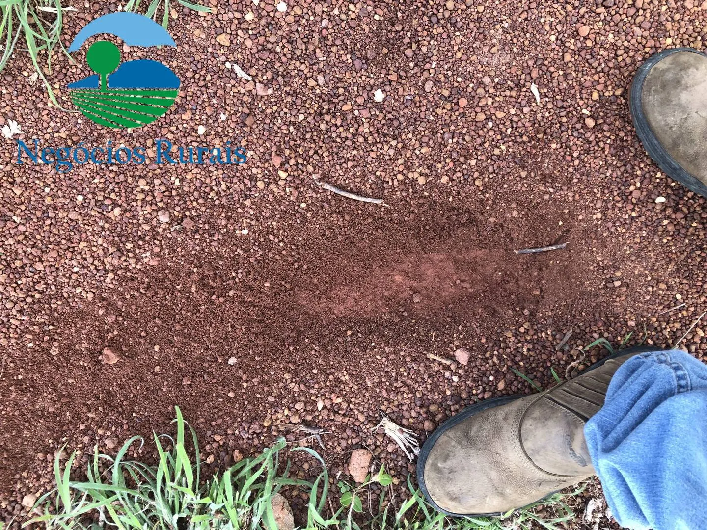 Fazenda à venda de 847 ha em Novo Planalto, GO, Brasil