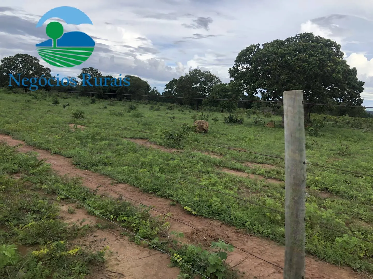 Fazenda à venda de 847 ha em Novo Planalto, GO, Brasil