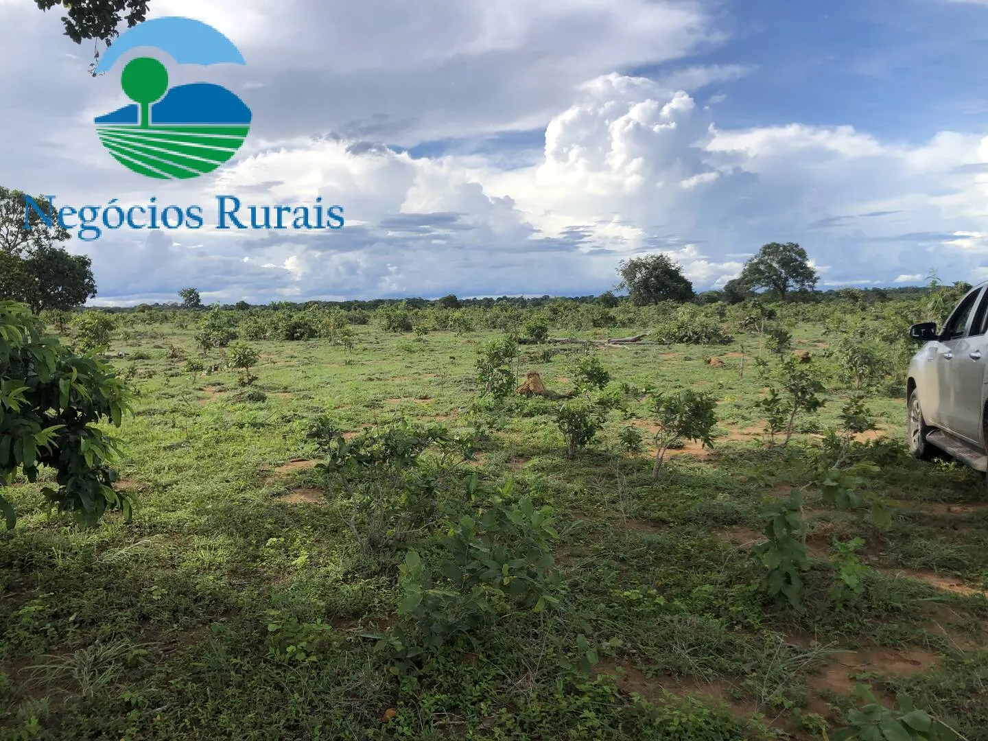 Fazenda à venda de 847 ha em Novo Planalto, GO, Brasil