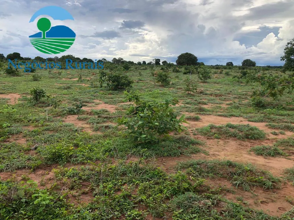 Fazenda à venda de 847 ha em Novo Planalto, GO, Brasil
