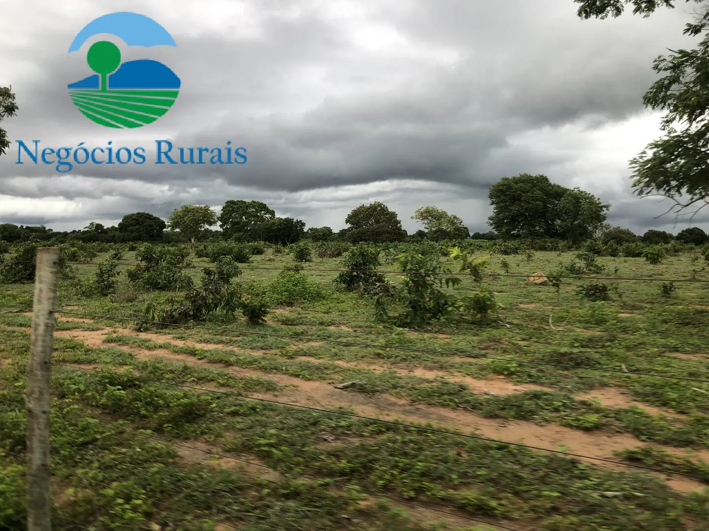 Fazenda à venda de 847 ha em Novo Planalto, GO, Brasil