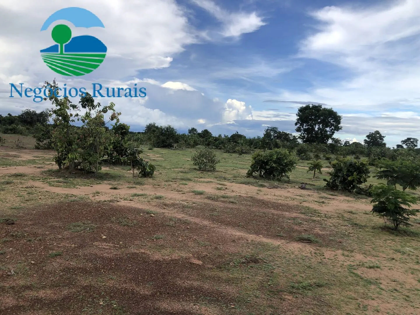 Fazenda à venda de 847 ha em Novo Planalto, GO, Brasil