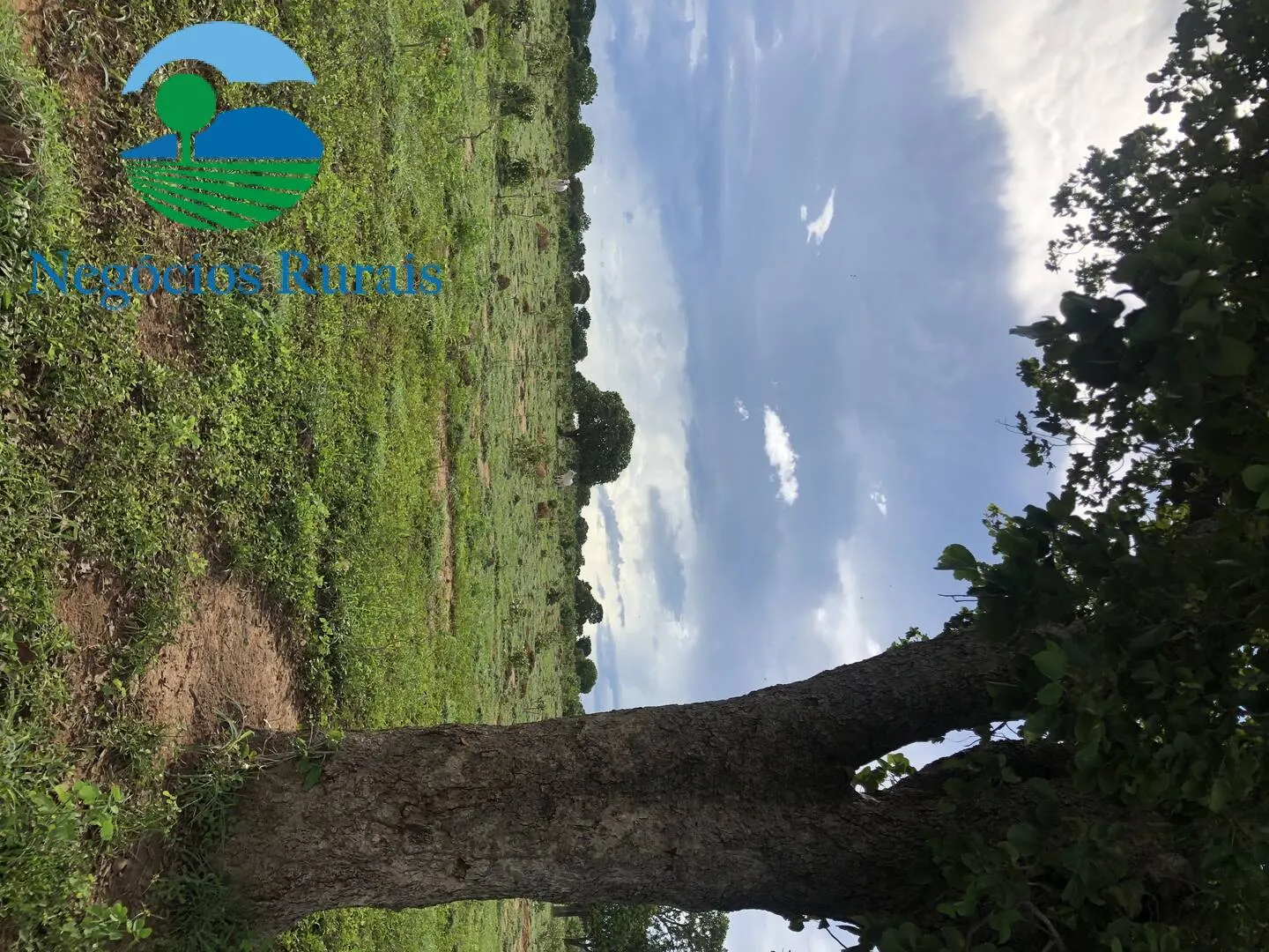 Fazenda à venda de 847 ha em Novo Planalto, GO, Brasil