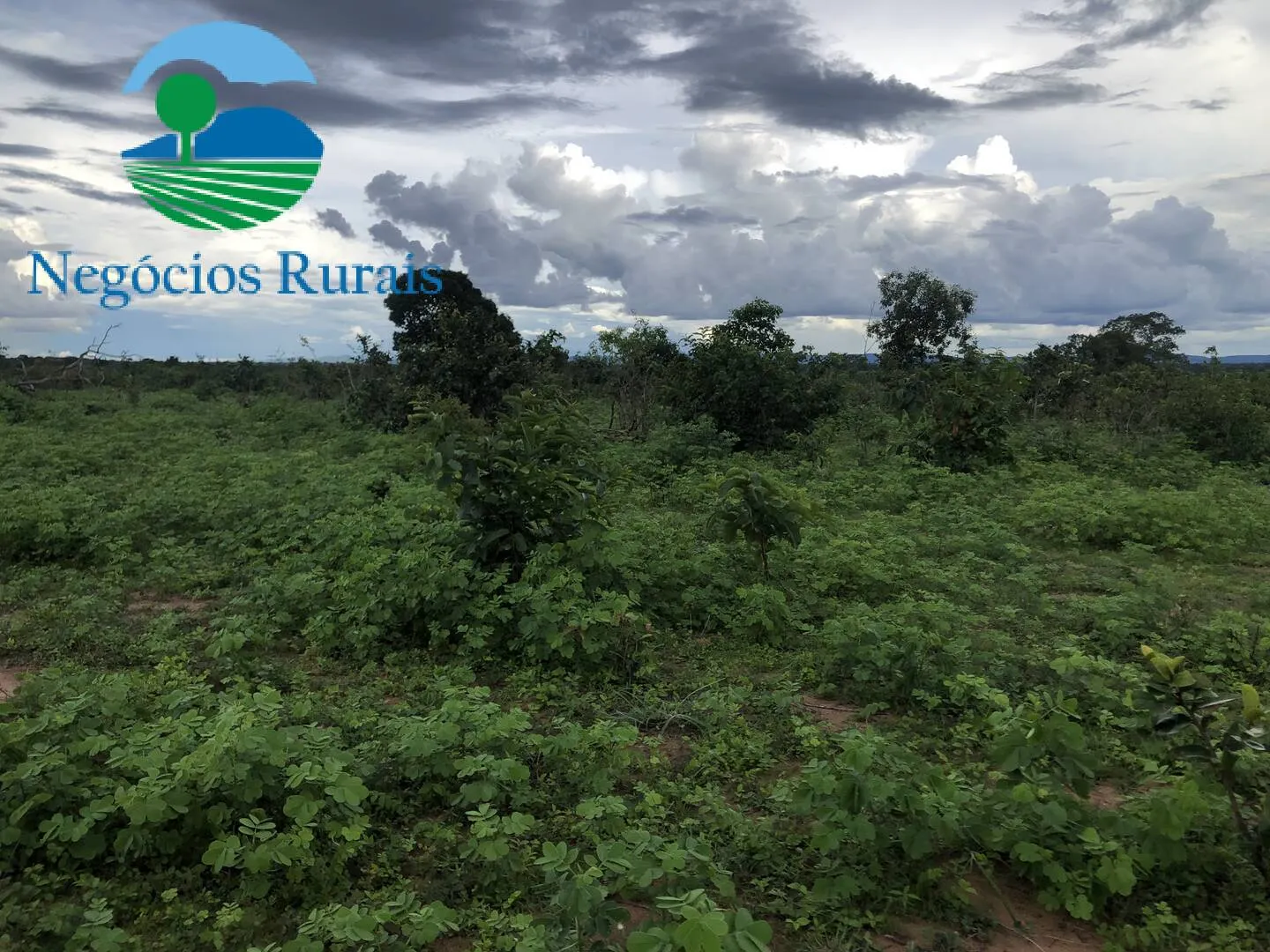 Fazenda à venda de 847 ha em Novo Planalto, GO, Brasil