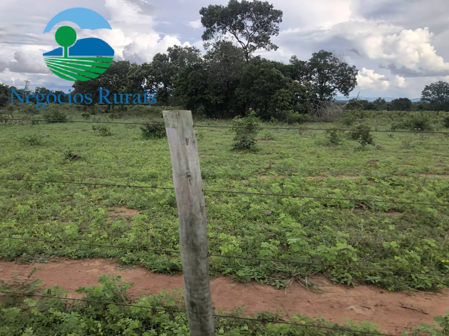 Fazenda à venda de 847 ha em Novo Planalto, GO, Brasil