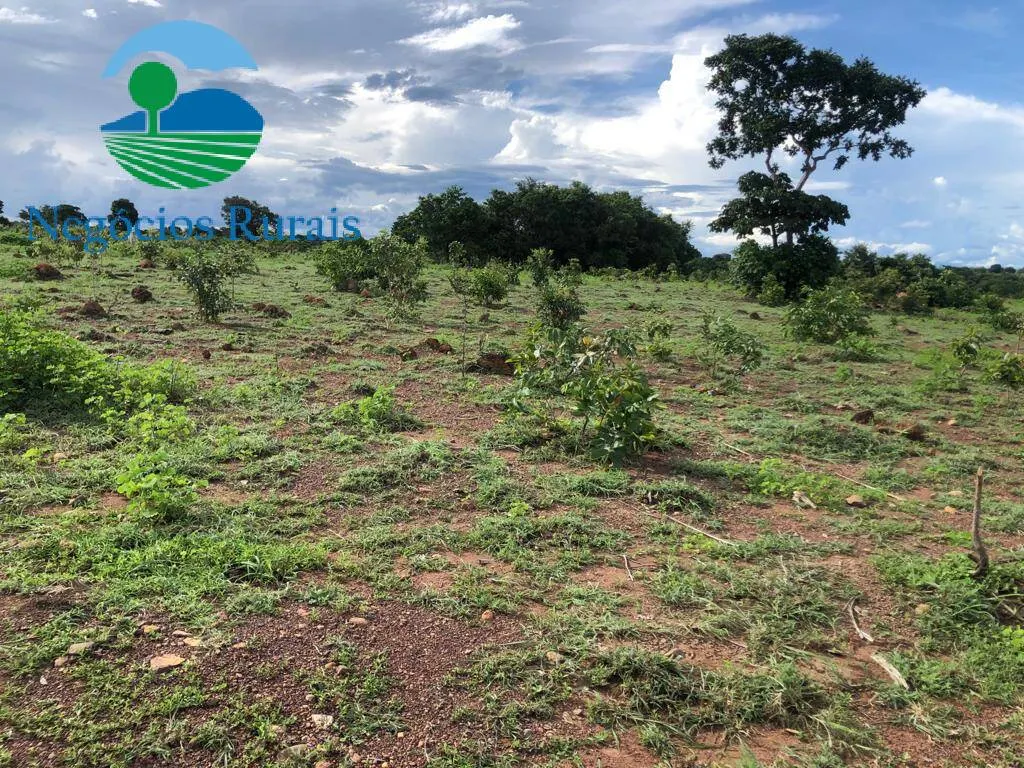 Fazenda à venda de 847 ha em Novo Planalto, GO, Brasil