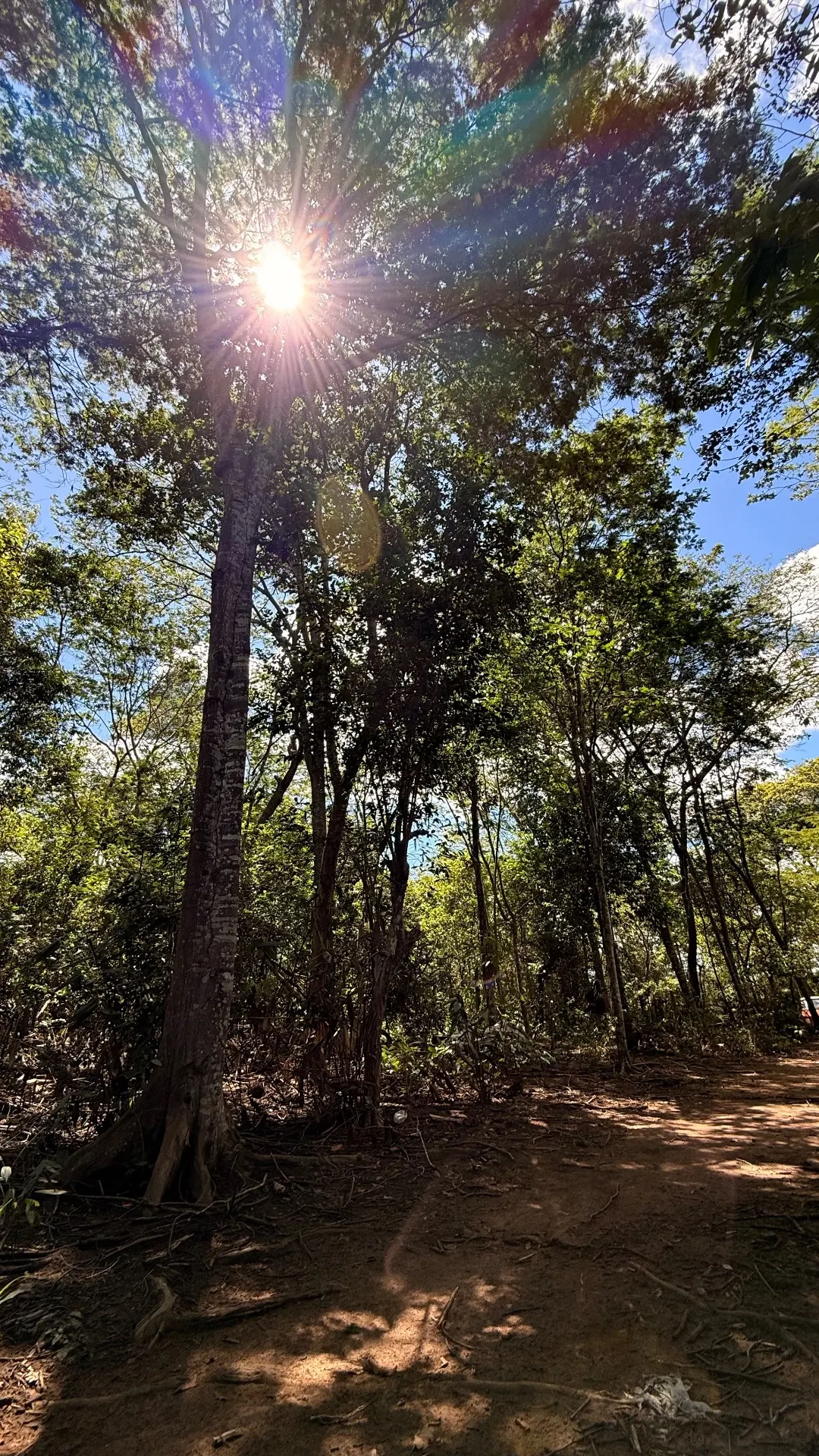 Terreno à venda de 1 ha em Lençóis, BA, Brasil