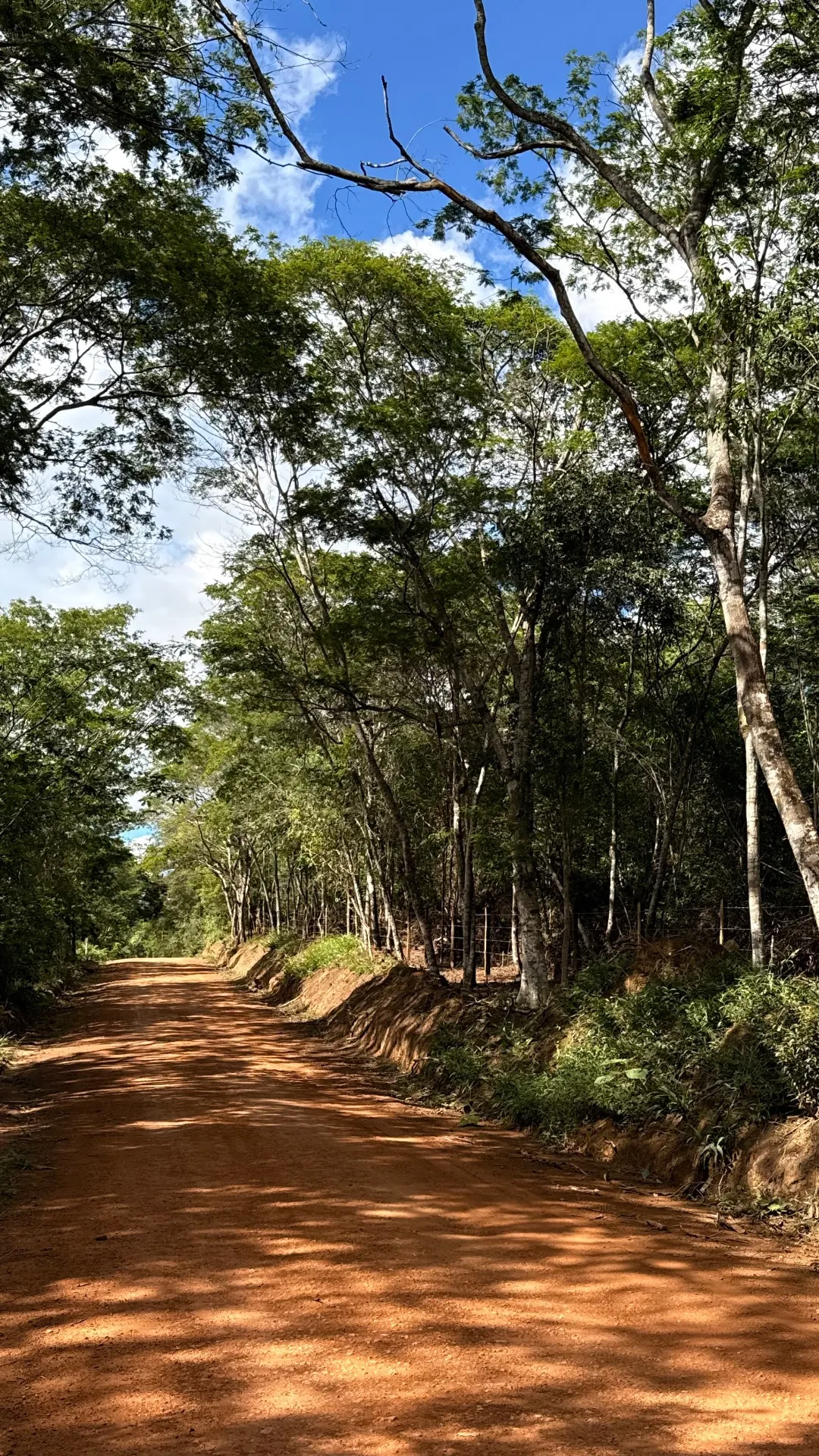 Terreno à venda de 1 ha em Lençóis, BA, Brasil