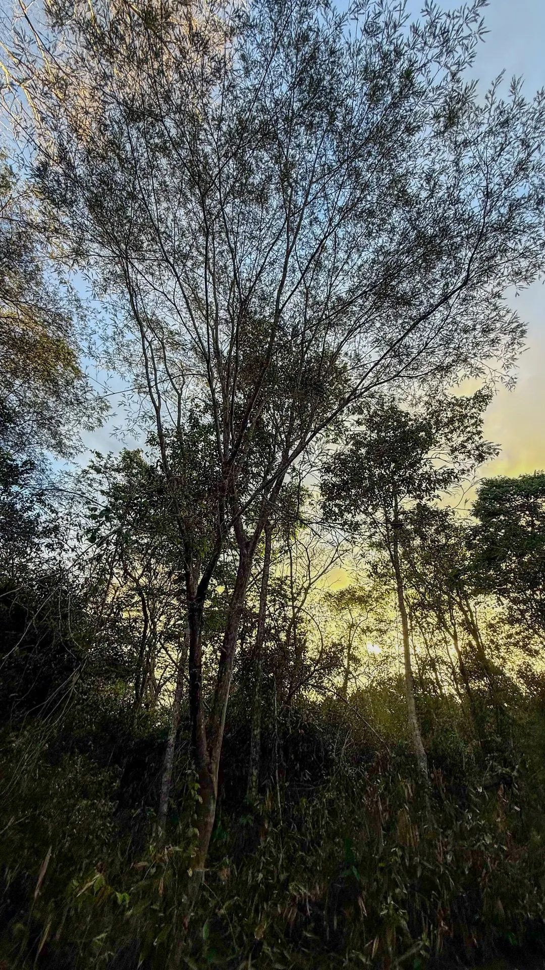 Terreno à venda de 1 ha em Lençóis, BA, Brasil