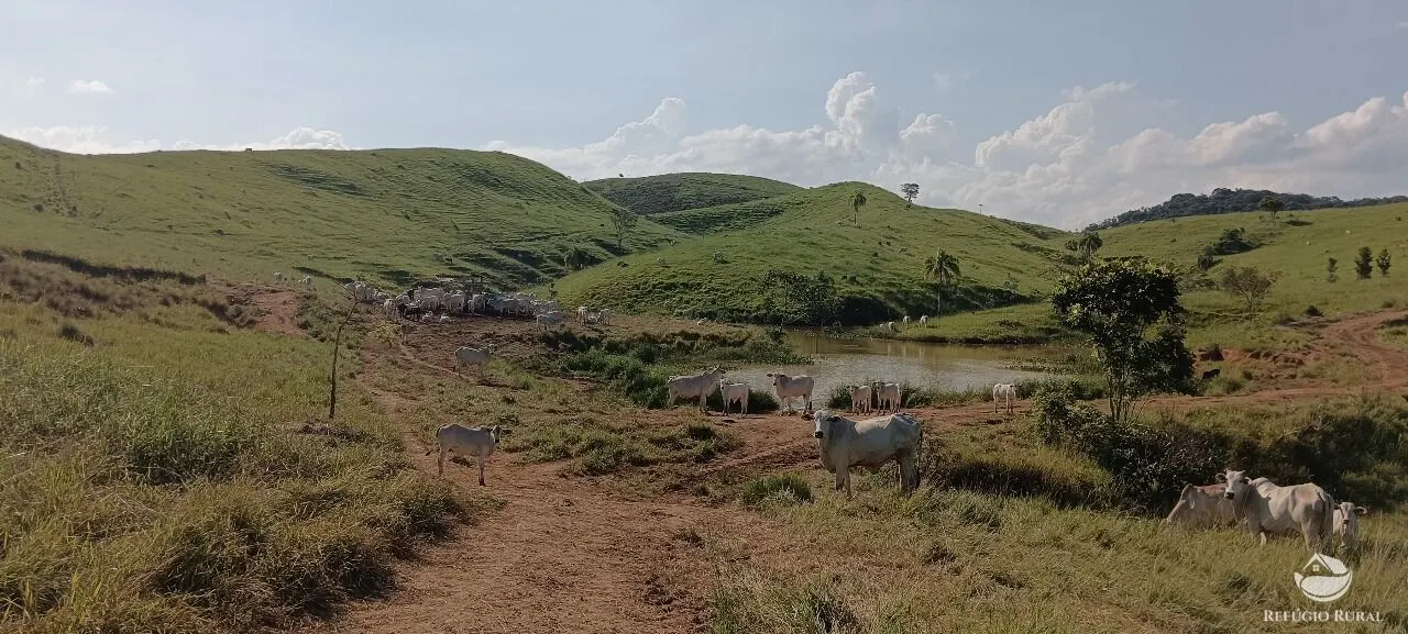Fazenda à venda de 725 ha em São José dos Campos, SP, Brasil