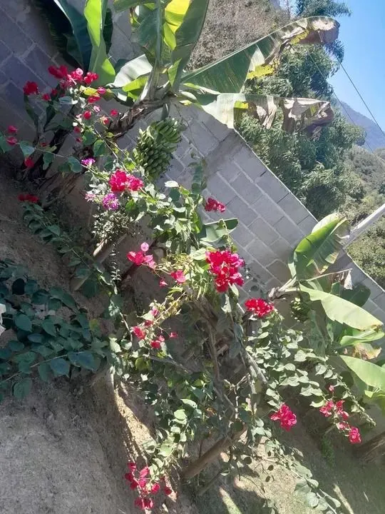 Country home for sale of 850 m² in Jambeiro, SP, Brazil