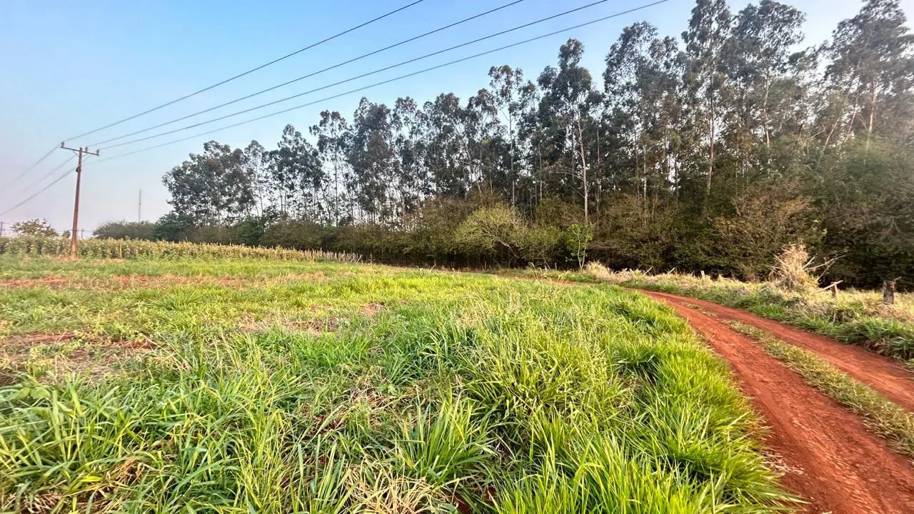 Farm for sale of 25 acres in Terenos, MS, Brazil