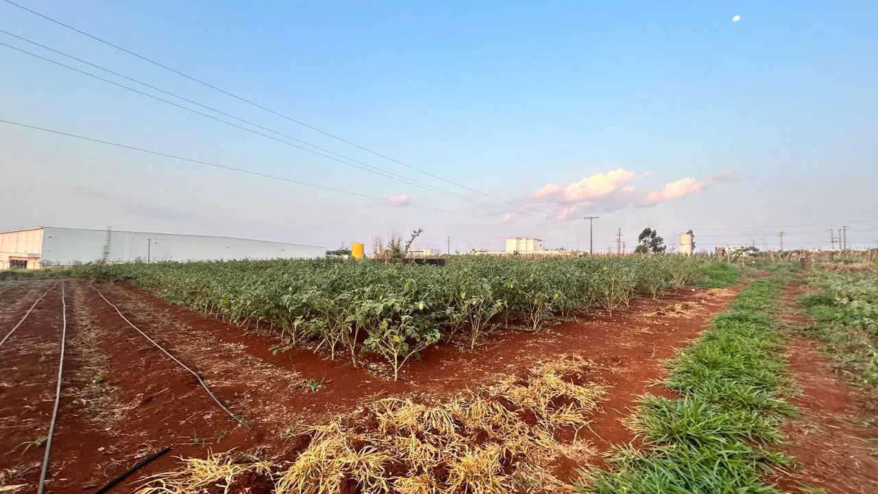 Farm for sale of 25 acres in Terenos, MS, Brazil