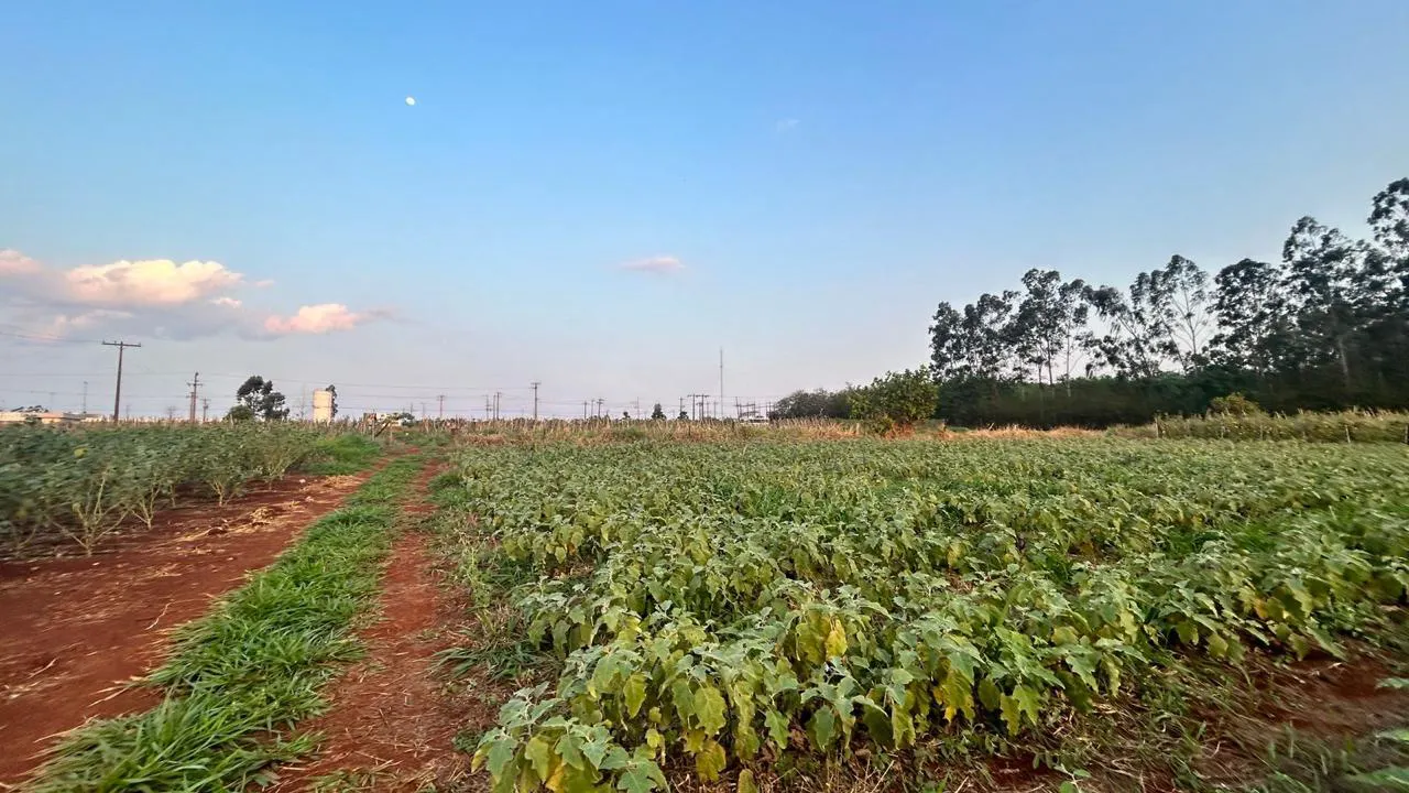 Farm for sale of 25 acres in Terenos, MS, Brazil