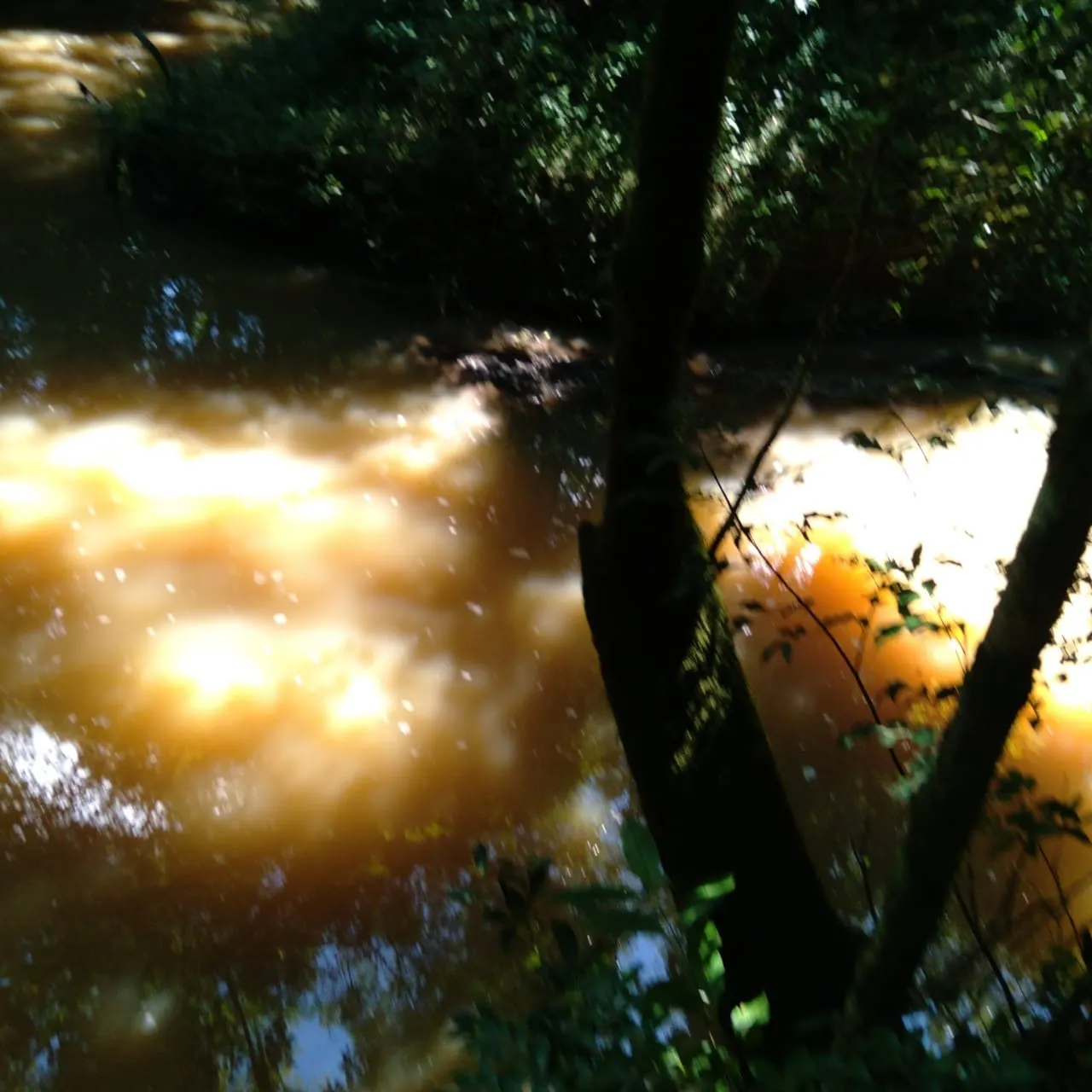 Sítio à venda de 24 ha em Angatuba, SP, Brasil