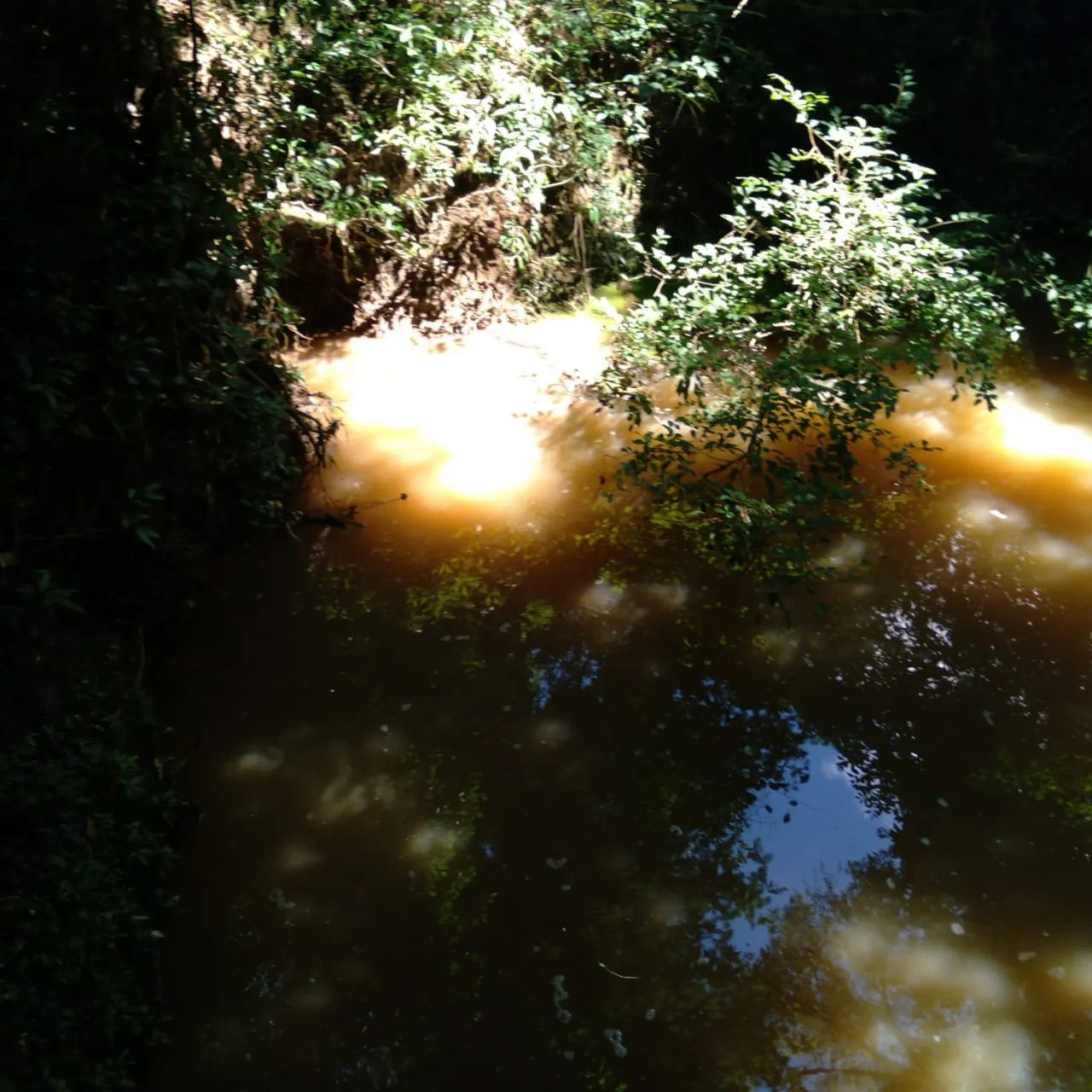 Sítio à venda de 24 ha em Angatuba, SP, Brasil