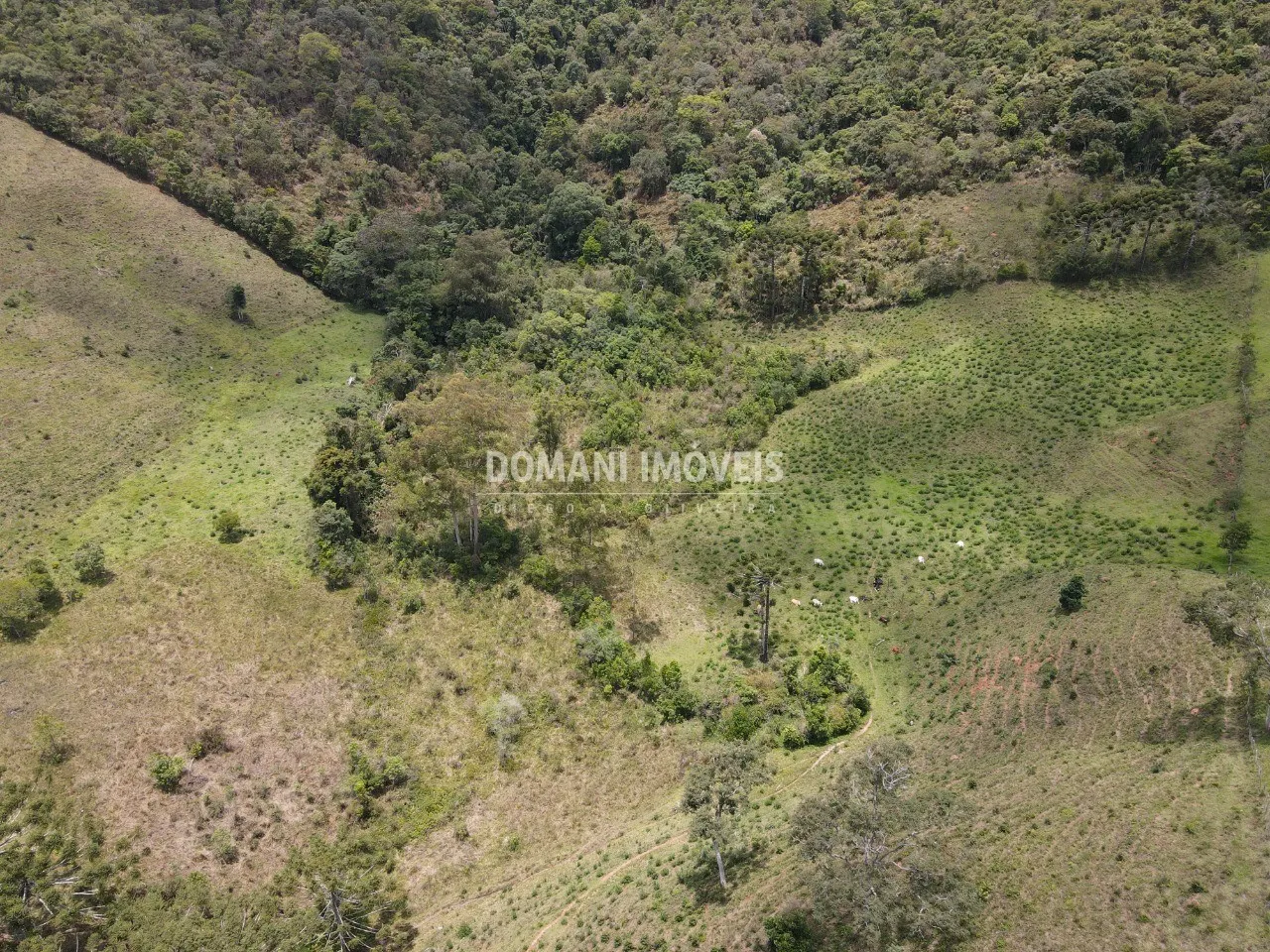 Sítio à venda de 24 ha em Campos do Jordão, SP, Brasil