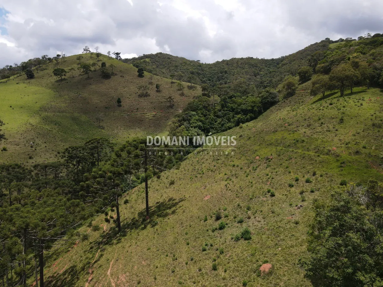 Sítio à venda de 24 ha em Campos do Jordão, SP, Brasil