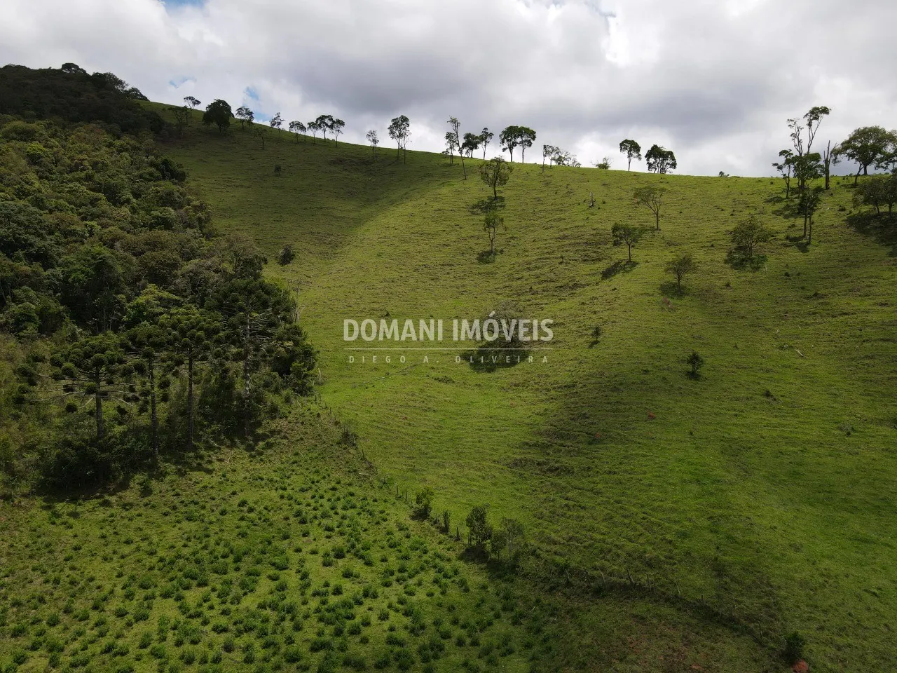 Sítio à venda de 24 ha em Campos do Jordão, SP, Brasil