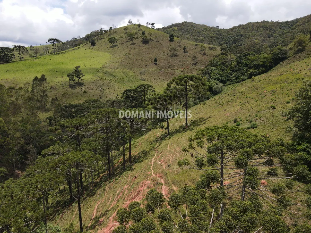 Sítio à venda de 24 ha em Campos do Jordão, SP, Brasil
