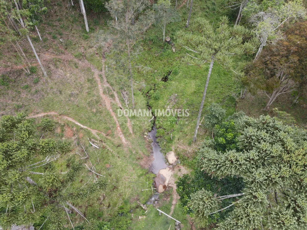 Sítio à venda de 24 ha em Campos do Jordão, SP, Brasil