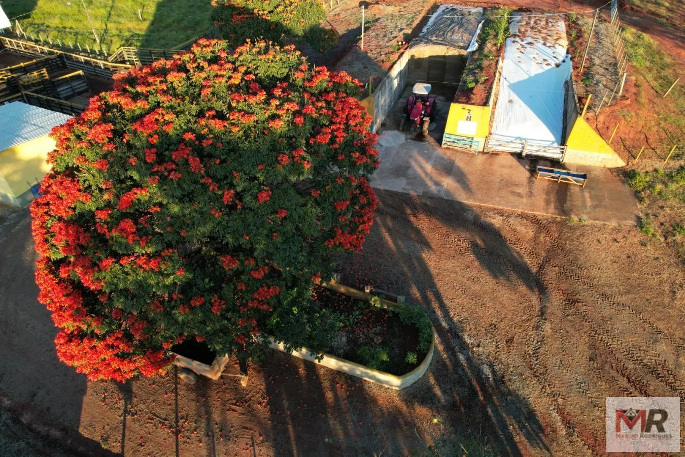 Farm for sale of 287 acres in São Gonçalo do Sapucaí, MG, Brazil