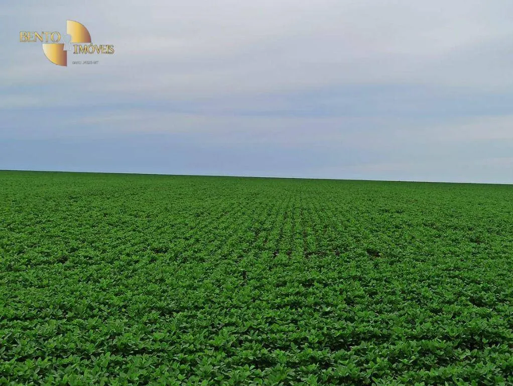Fazenda à venda de 11.475 ha em São José do Xingu, MT, Brasil
