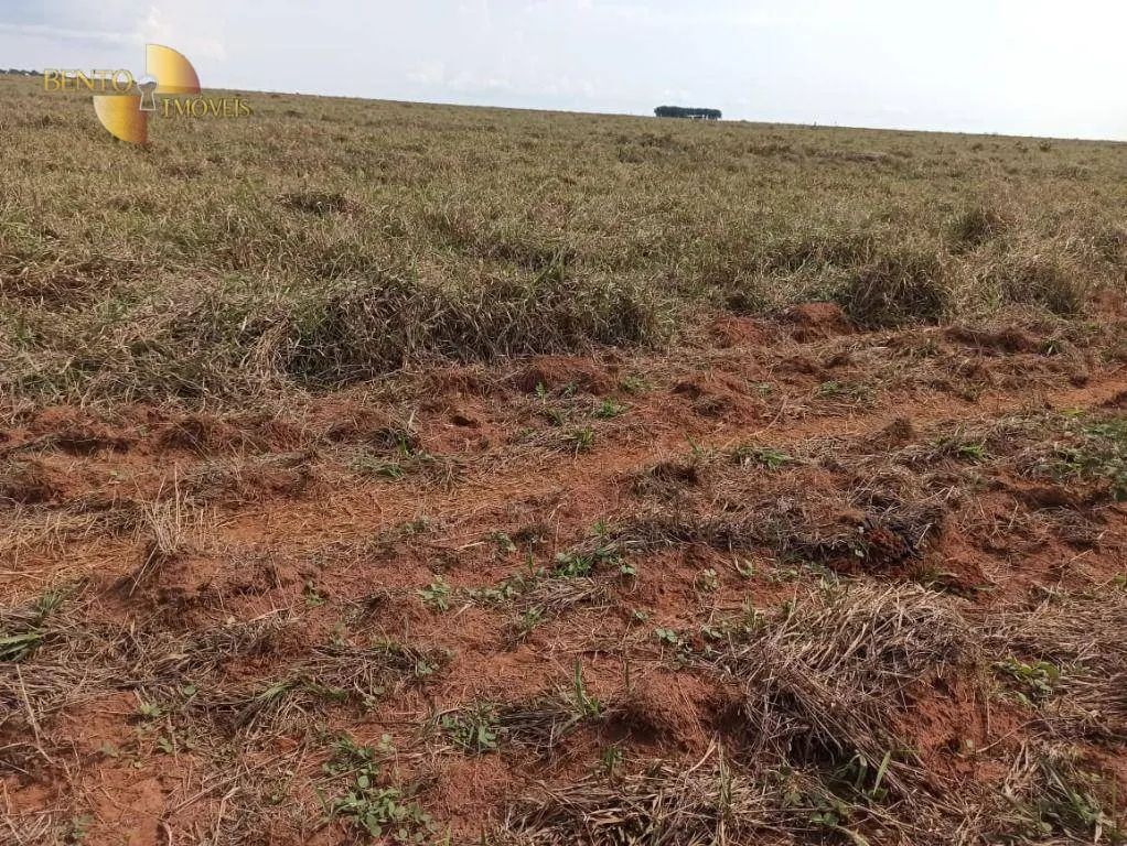 Fazenda à venda de 11.475 ha em São José do Xingu, MT, Brasil