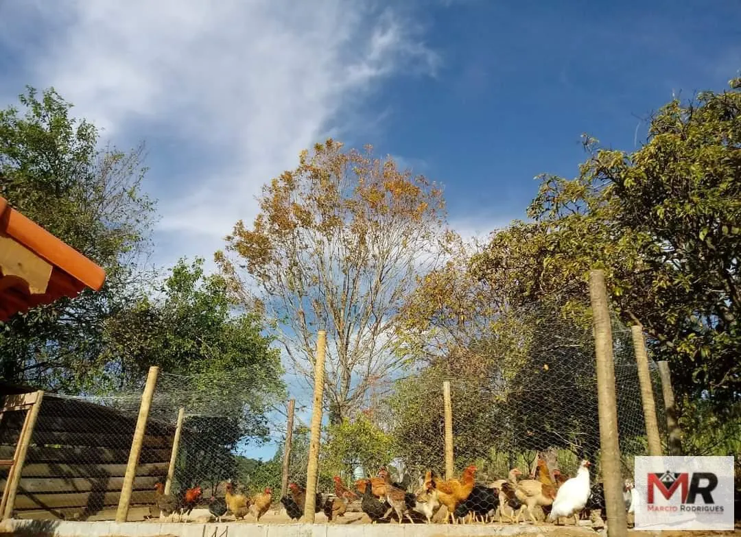 Small farm for sale of 5 acres in Munhoz, MG, Brazil