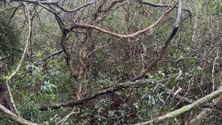 Chácara à venda de 8 ha em Santo Antônio da Patrulha, RS, Brasil