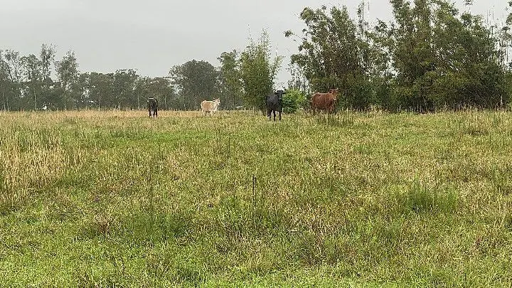 Chácara à venda de 8 ha em Santo Antônio da Patrulha, RS, Brasil
