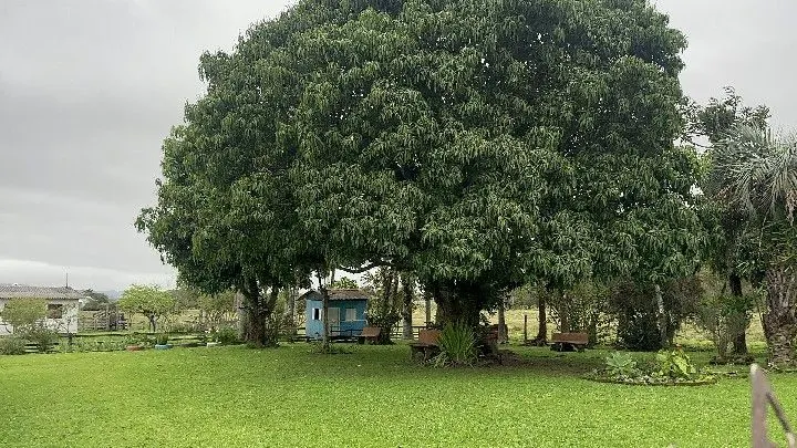 Chácara à venda de 8 ha em Santo Antônio da Patrulha, RS, Brasil