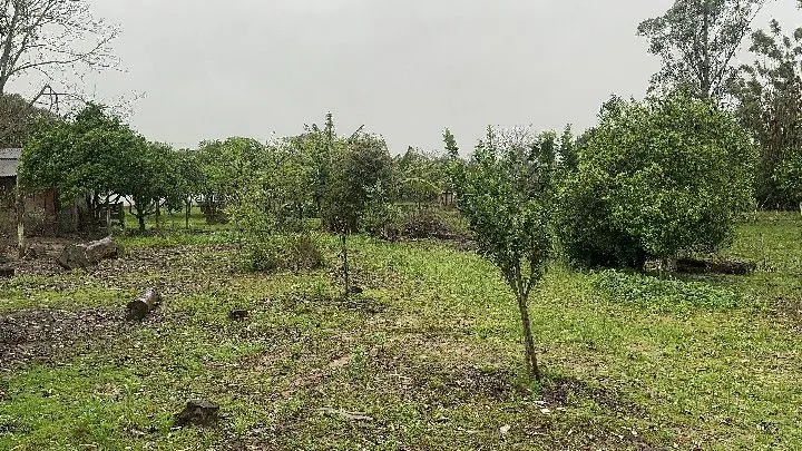 Chácara à venda de 8 ha em Santo Antônio da Patrulha, RS, Brasil