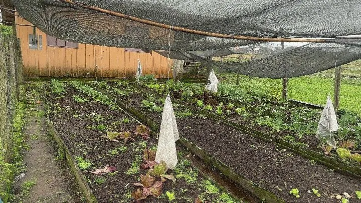 Chácara à venda de 8 ha em Santo Antônio da Patrulha, RS, Brasil