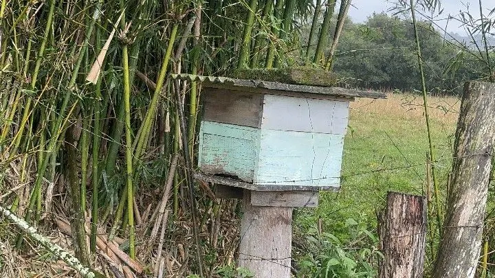 Chácara à venda de 8 ha em Santo Antônio da Patrulha, RS, Brasil