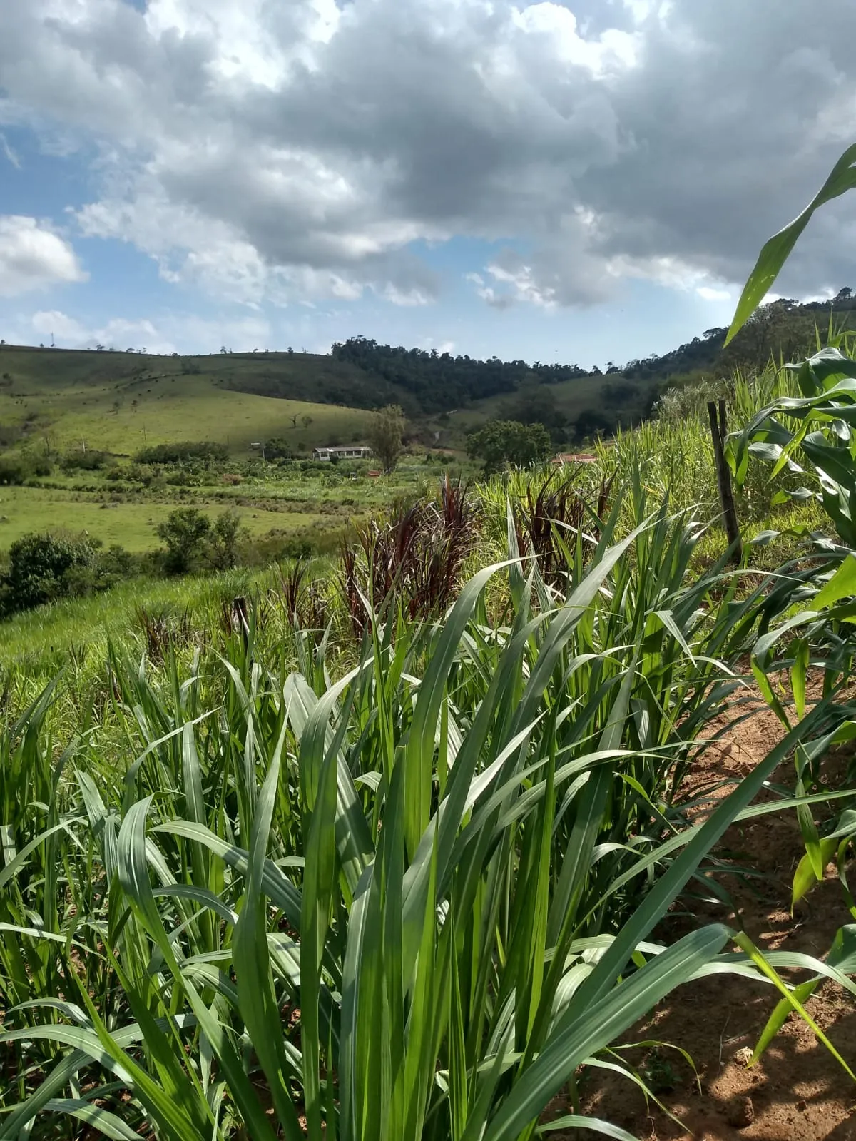 Sítio à venda de 10 ha em Paraibuna, SP, Brasil