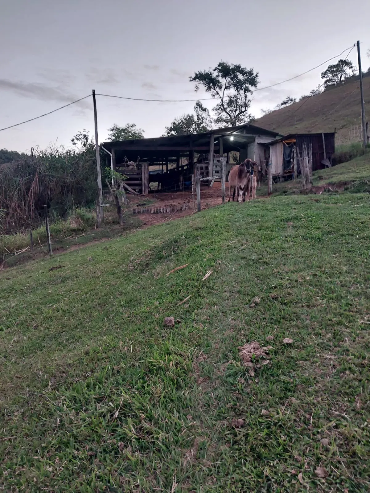Sítio à venda de 10 ha em Paraibuna, SP, Brasil