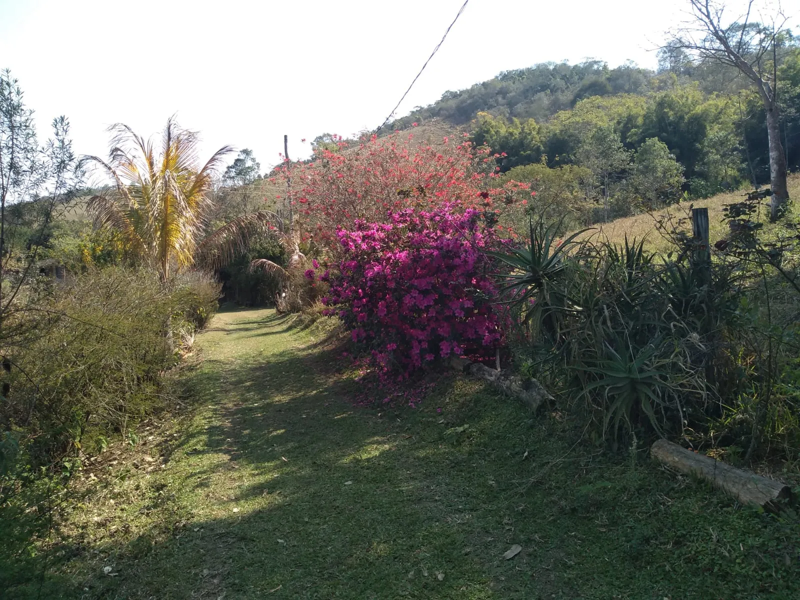 Sítio à venda de 10 ha em Paraibuna, SP, Brasil